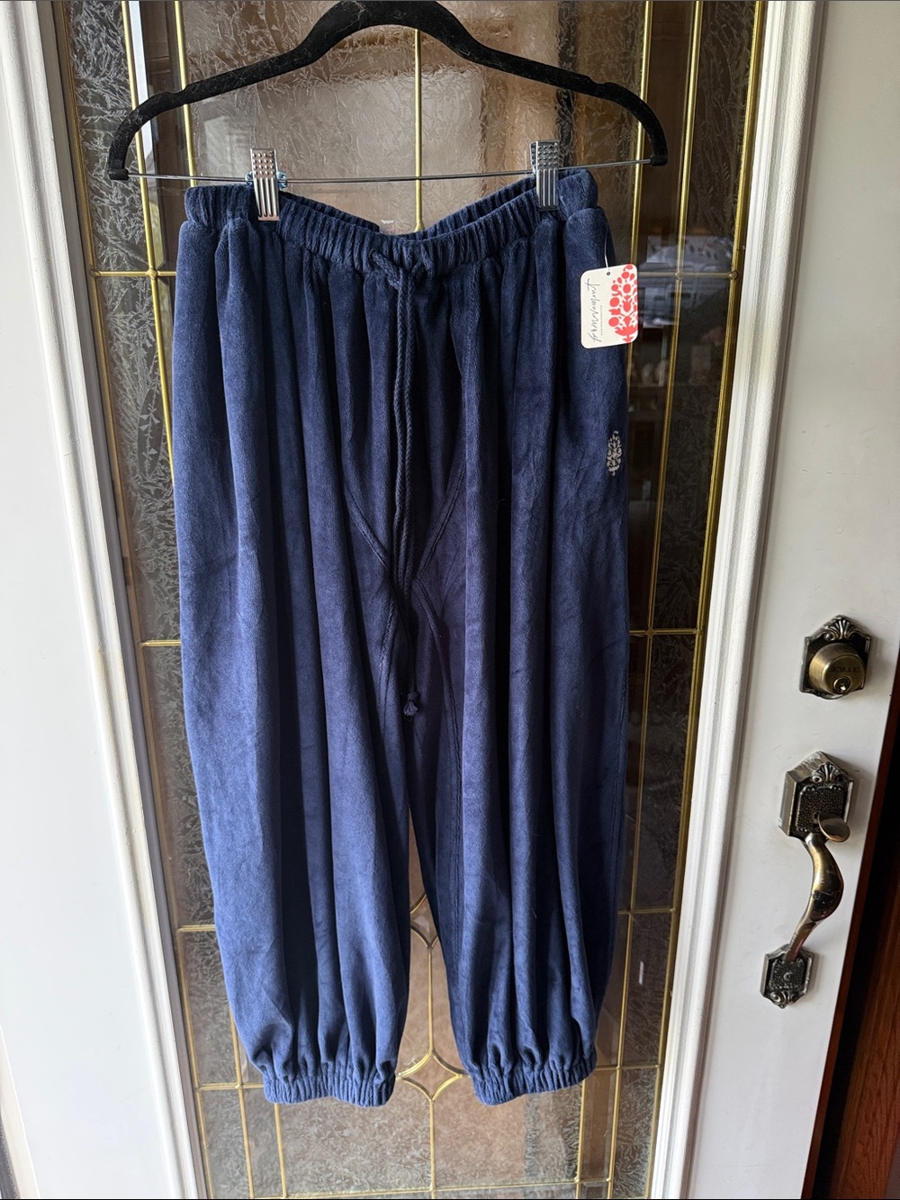 FREE PEOPLE MOMENTUM BALLON VELOUR Jogger Pants